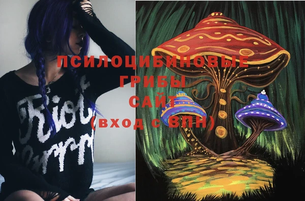 гашиш Каменка