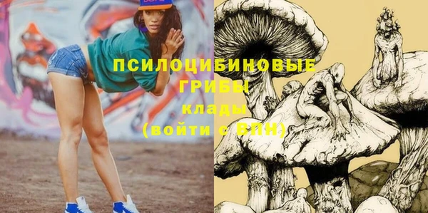 хмурый Каменногорск