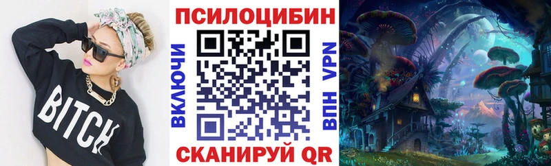 Галлюциногенные грибы GOLDEN TEACHER  где купить   Ленинск 